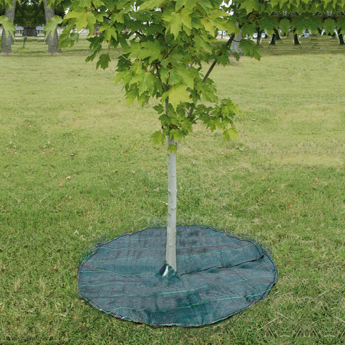 Dewitt Circle Tree Mat