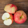 Triumph Apple™ Tree