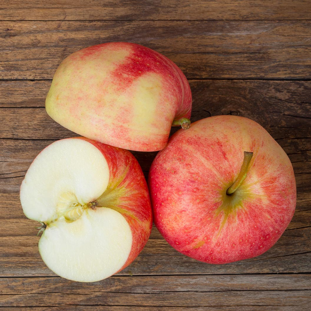 Triumph Apple™ Tree