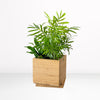 Gardenuity® Tropical Desktop Garden Kit in Bamboo Planter