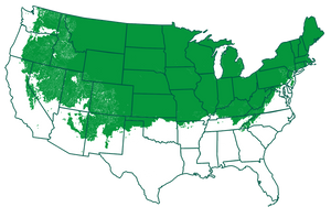 3-6 outdoors       Map