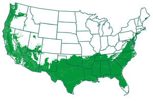 7-9 outdoors       Map