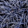 Black Mondo Grass