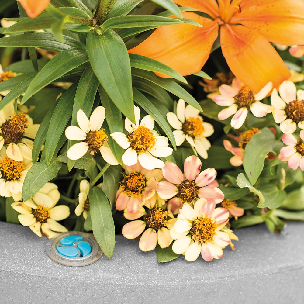 Crescent Garden Self-Watering Rim Planter