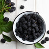 Black Satin Thornless Blackberry Bush