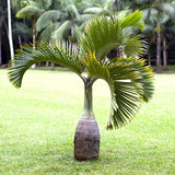 block-image