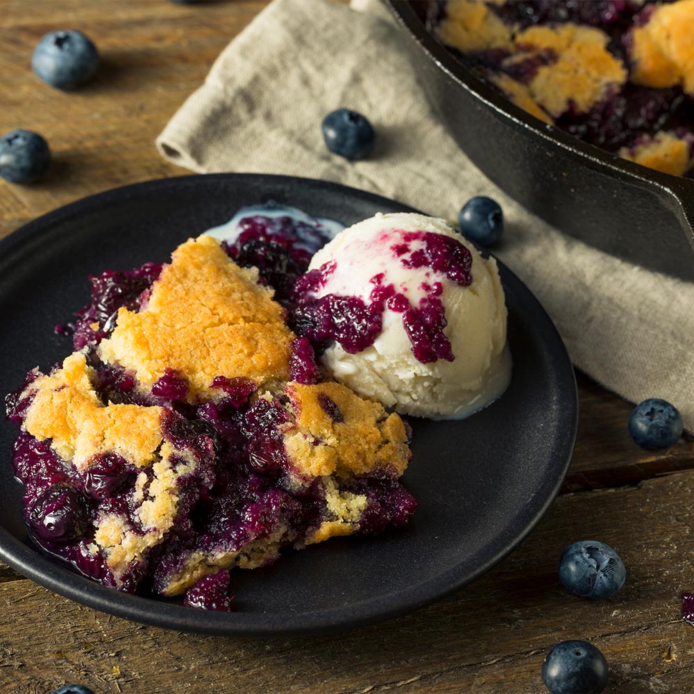 Brightwell Blueberry Bush