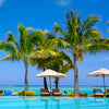 Coconut Palm Tree