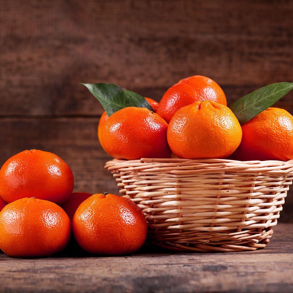 Dancy Tangerine Tree