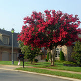 block-image