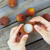Emperor Lychee Tree