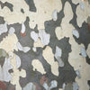 EXCLAMATION!™ London Planetree