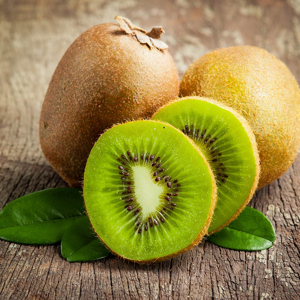 2-in-1 Fuzzy Kiwi Vine