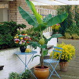 block-image