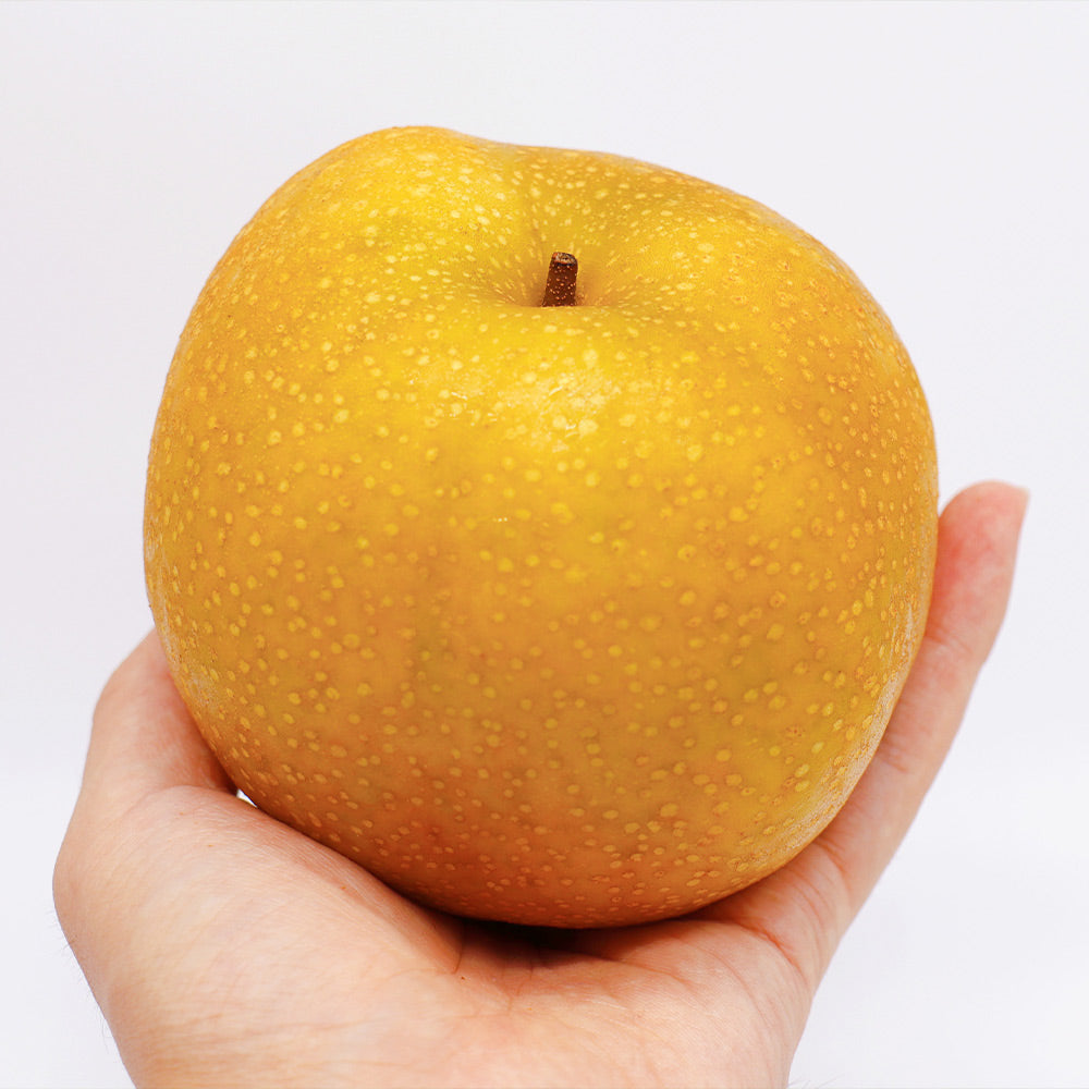 Hosui Asian Pear Tree