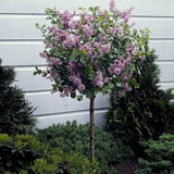 block-image
