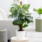 block-image