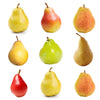 5-in-1 European Pear Tree