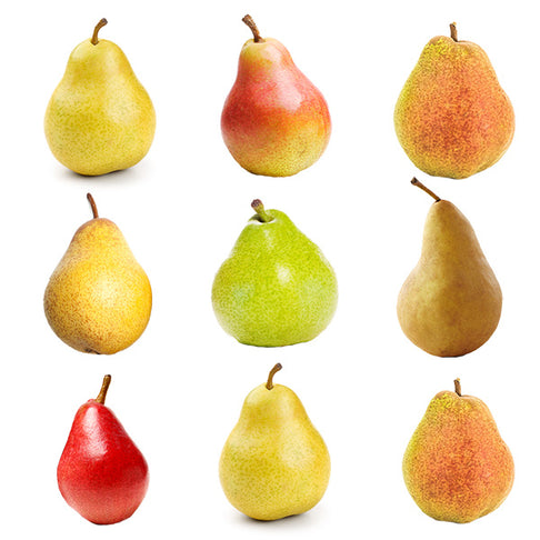 5-in-1 European Pear Tree