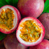 Nancy Garrison Passion Fruit Vine