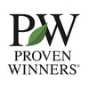Proven Winners® At Last® Rose Shrub