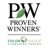 Proven Winners® Bloomerang® Lilac Shrub