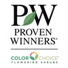 Proven Winners® Limelight Hydrangea Shrub