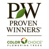 Proven Winners® Lollipop® Crabapple Tree