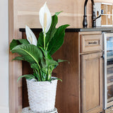 block-image