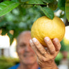 Ponderosa Lemon Tree
