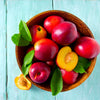 Red Gold Nectarine Tree