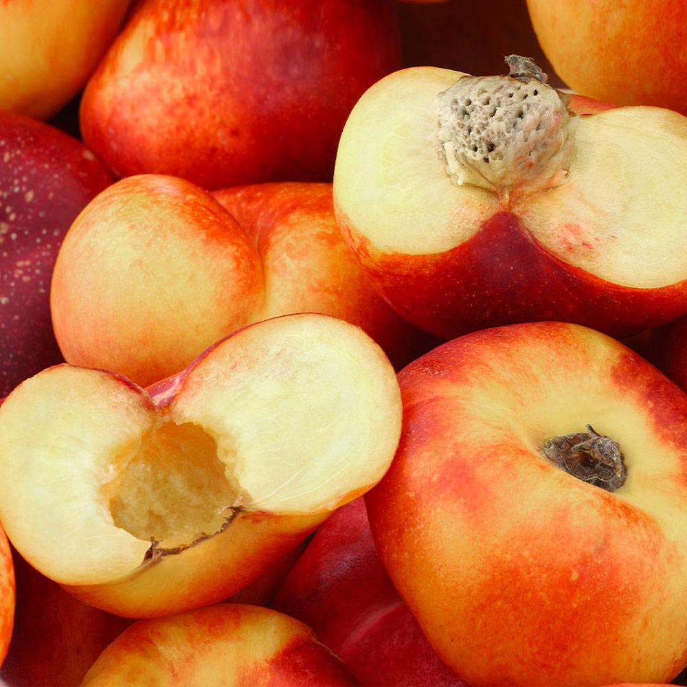 Saturn Peach Tree