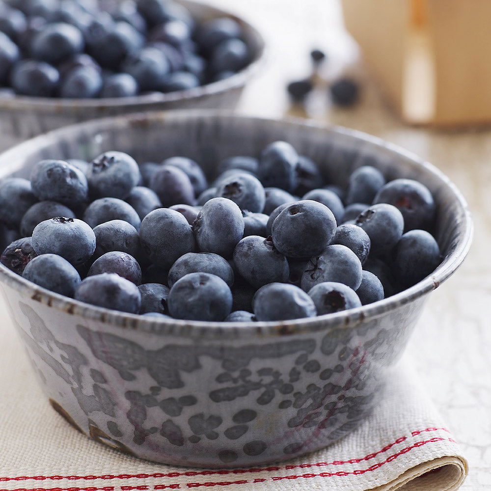 Sweetheart Blueberry Bush - USDA Organic