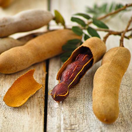 Tamarind Tree