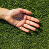 TurboTurf™ Bermudagrass Seed