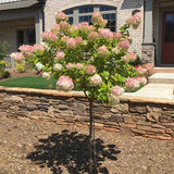block-image