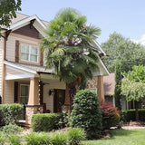 block-image