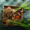 Turmeric Plant